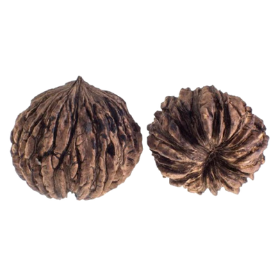 Black Walnut