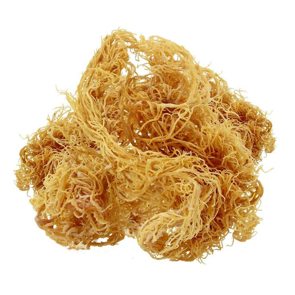 Sea Moss